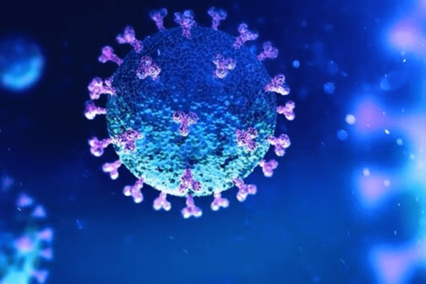 Alaskapox Virus