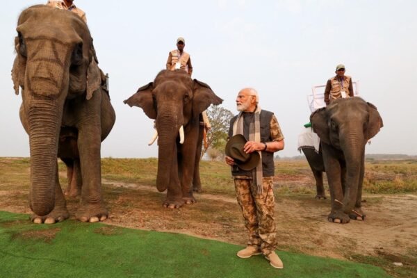 PM Modi visits Kaziranga National Park